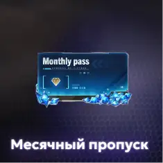 Месячный пропуск
